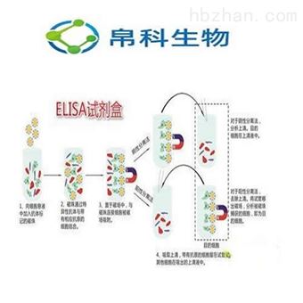 48T/96TPGF 小鼠前列腺素FELISA检测试剂盒