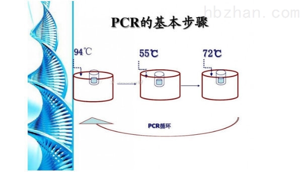 PCR检测试剂盒.jpg